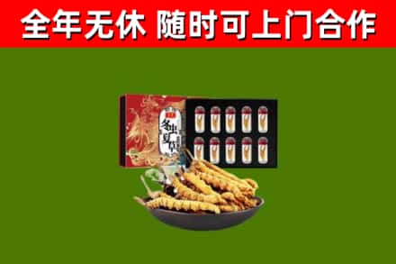 洛南烟酒回收冬虫夏草礼盒.jpg