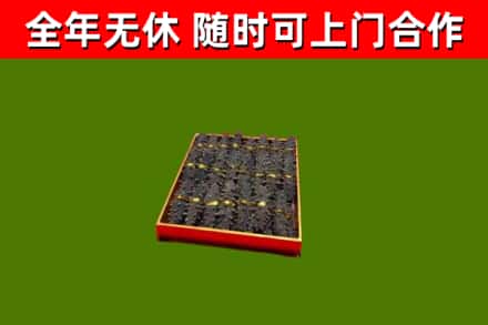 洛南回收海参